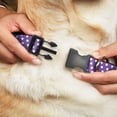 thumbnail image 2 of Disney Pet Collar, Dog Collar Plastic Buckle, Minnie Mouse Ears Monogram Dots Purple White, 8.5 to 12 Inches 0.5 Inch Wide, 2 of 6