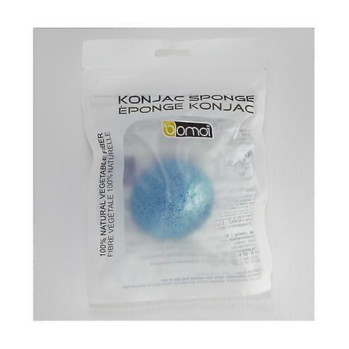 Konjac sponge 1 unit Walmart.ca