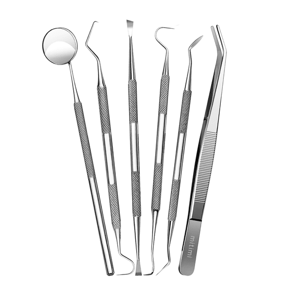 6 Pack Stainless-Steel Toothpicks Reusable Floss Tooth Picks Scraper Dental Tools for Teeth Cleaning Steel Dental Pick Kit