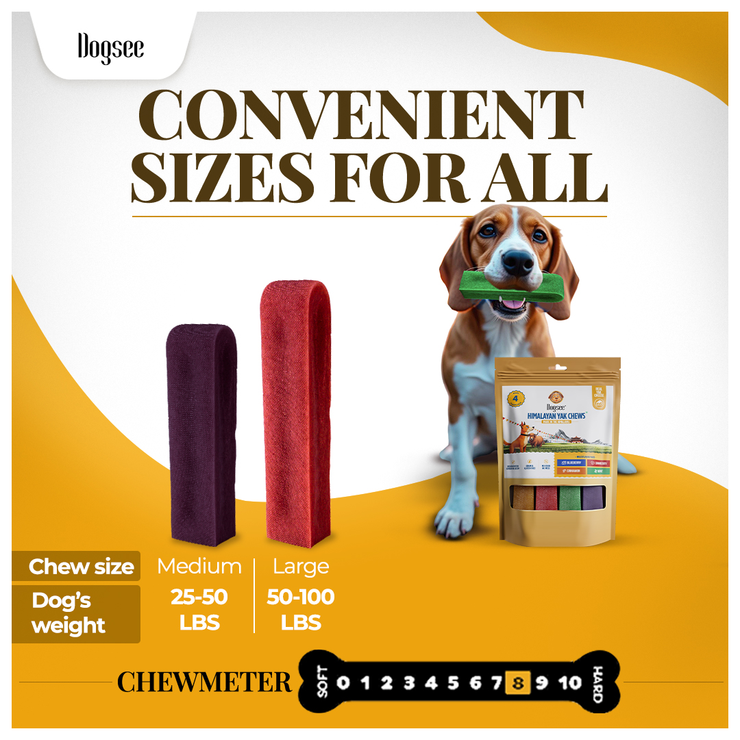 Dogsee Multiflavor Yak Cheese Dental Chews Large Dogs 1 lb 4 Aggressive-Chewer Bars