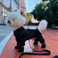 thumbnail image 6 of Waterproof Dog Boots with Suspenders, Dog Snowsuit with Built in Boots, All-in Anti- Paw Protector with Adjustable -Proof Pants for Small Medium Large Dogs Outdoor Walking (Black, M), 6 of 9