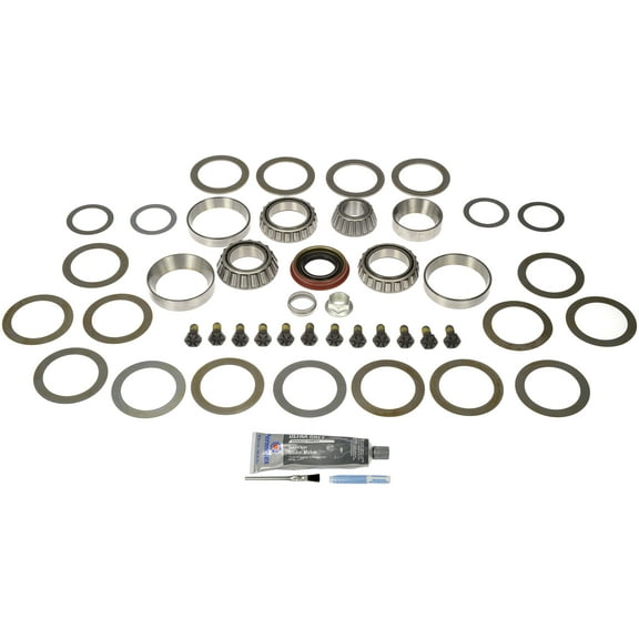 Dorman 697-029 Differential Bearing Kit for Specific Ford / Lincoln Models Fits select: 2007-2011 FORD F150, 2007-2011 FORD EXPEDITION