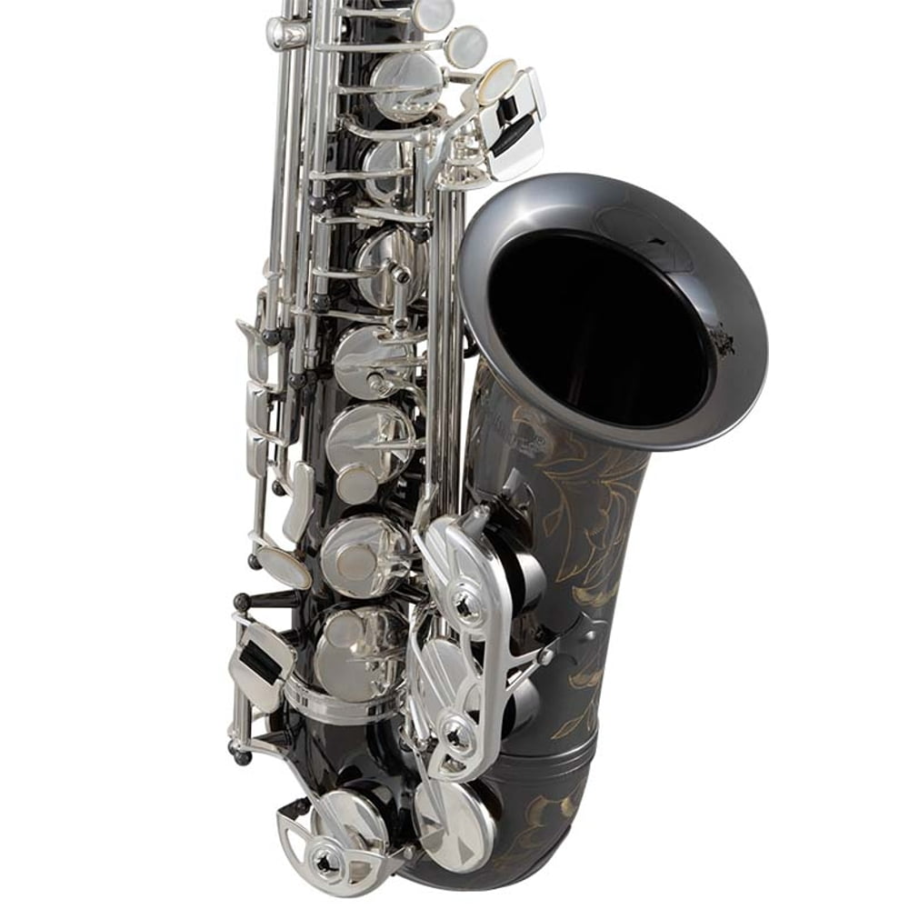 Selmer Model SAS711B Professional Alto Saxophone in Black Nickel Plate