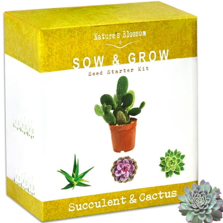 Nature’s Blossom Succulent & Cactus Grow Kit. A Complete Set to Grow Succulents & Cacti Plants from Seed. Planting Pots, Organic Soil & Home Gardening Guide (Best Way To Grow Plants From Seeds)