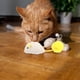 thumbnail image 5 of Juego de 3 juguetes para gatos, pequeños ratones de peluche con cascabel, juguete interactivo para gatos de interior, peluches realistas de rata., 5 of 5