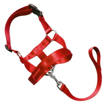 GOGO Head Collar, Control Training Collars, No-pull Painless for