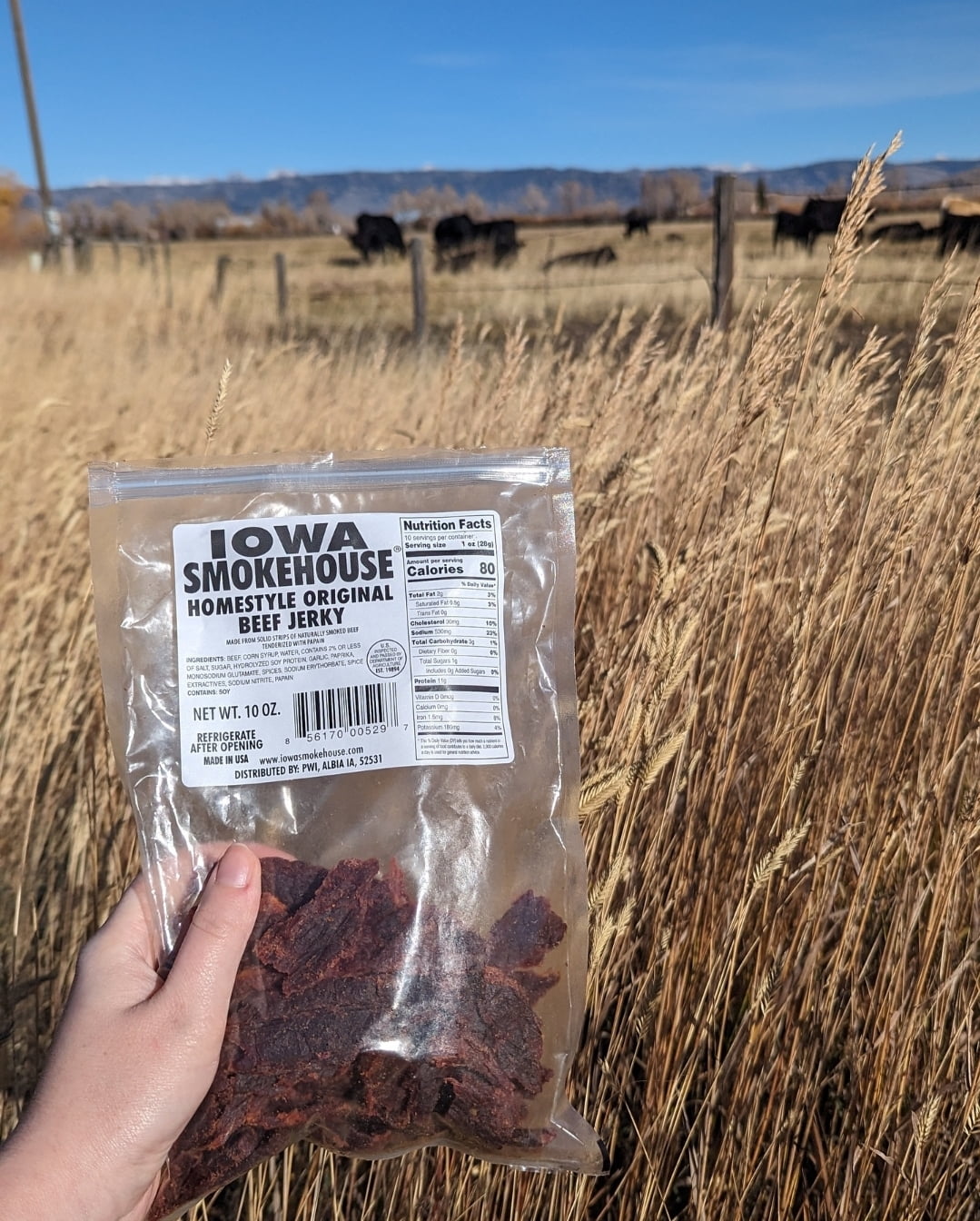 IOWA SMOKEHOUSE Home Style Original Beef Jerky, 10 oz