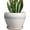 Cream White, variant on Ceramic Planter Pot - 6 Inch Plant Pot with Drainage Hole and Saucer Round Planter for Indoor Plants Outdoor Succulent Pot Modern Flower Pot for Home Decor Black