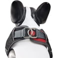 thumbnail image 3 of Arnés pectoral reflectante y transpirable tipo chaleco para mascotas con cordón ajustable en la espalda para pasear perros (azul cielo, L), 3 of 5