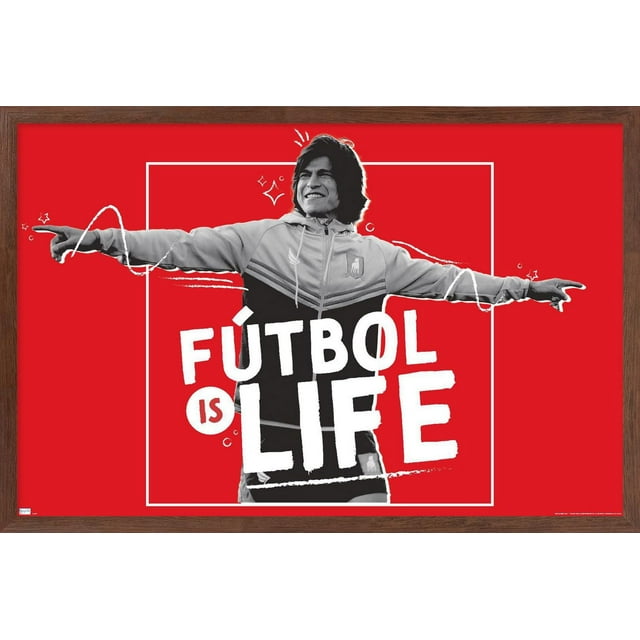 Ted Lasso - Le football c'est la vie