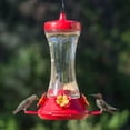 thumbnail image 4 of Perky-Pet Adjustable Perch Glass 20 oz Hummingbird Feeder, 4 of 9