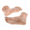 thumbnail image 4 of LOVIVER Paire de PVC Masseur de Pied Réflexologie Point Modèle Modèle de Pied Matériel Pédagogique, 4 of 6