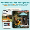 thumbnail image 3 of Birdfy Smart Bird Feeder with Camera for Bird Feeding and Watching - 1.5 lb Capacity, Blue, 3 of 9