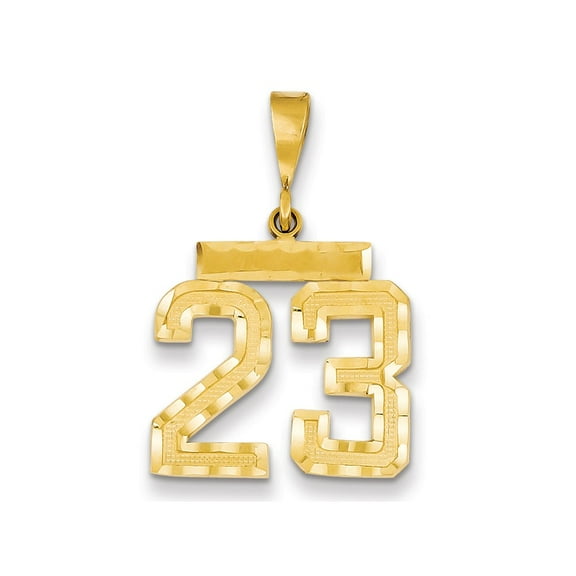 14k Yellow Gold Medium Diamond-cut Number 23 Charm
