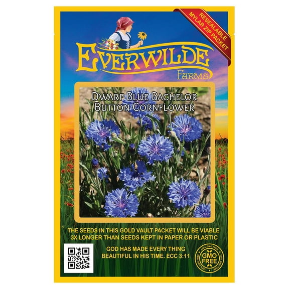 Everwilde Farms 500 Dwarf Blue Bachelor Button Cornflower Flower Seeds