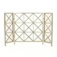 thumbnail image 3 of Fire Screens, 3 of 9