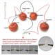 thumbnail image 5 of Kit de Experimentos Científicos con Batería de Frutas con Reloj Electrónico y LED RGB para Juguete de Enseñanza en Casa DIY, 5 of 7