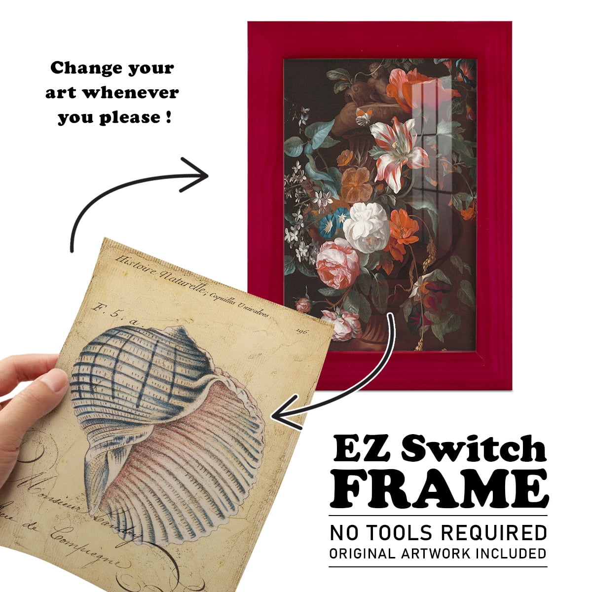 Seashell Ephemera V - Framed Print w/glass - Cherry Red