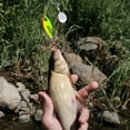 thumbnail image 2 of PENGXIANG 6 Color Sequin Lure Multi-Functional 6 Color Sequin Bait Artificial Fishing Lure with Realistic Eyes For Trout Bass Pike Walleye Salmon steadfast, 2 of 4
