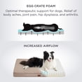 thumbnail image 3 of Cama ortopédica impermeable para perros grandes, 3 of 6