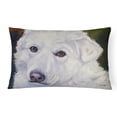 thumbnail image 1 of Carolines Treasures 7418PW1216 Great Pyrenees Contemplation Fabric Decorative Pillow, 1 of 3