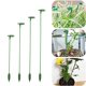 thumbnail image 1 of Marco De Soporte Paquete de 10 estacas verdes de soporte para plantas con anillos ajustables para flores,rosas y orquídeas de interior y exterior (17 cm). Rkxzt, 1 of 9