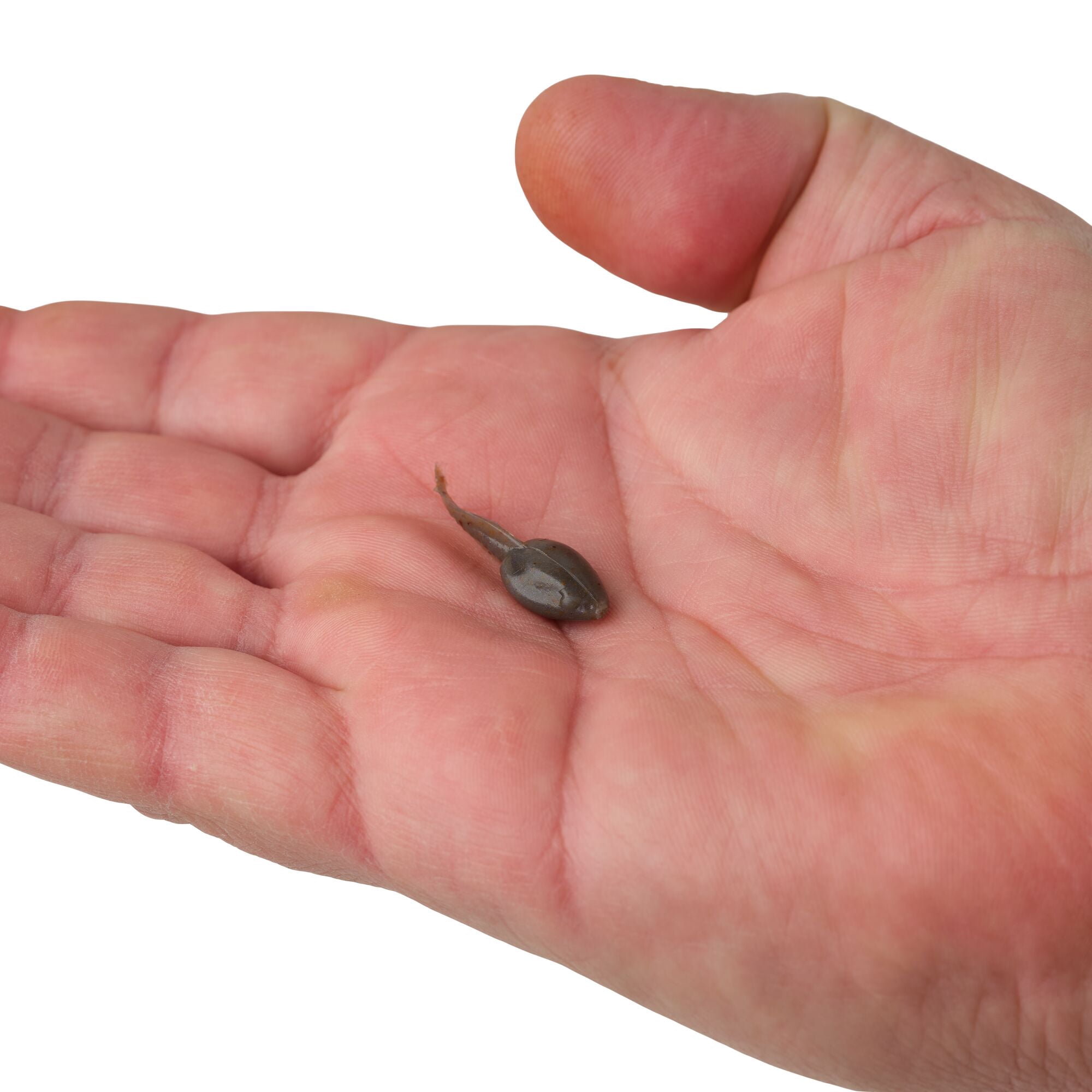 Berkley Gulp! Alive!® Tadpole, 1.25 in, Minnows, Smog (1 Count)