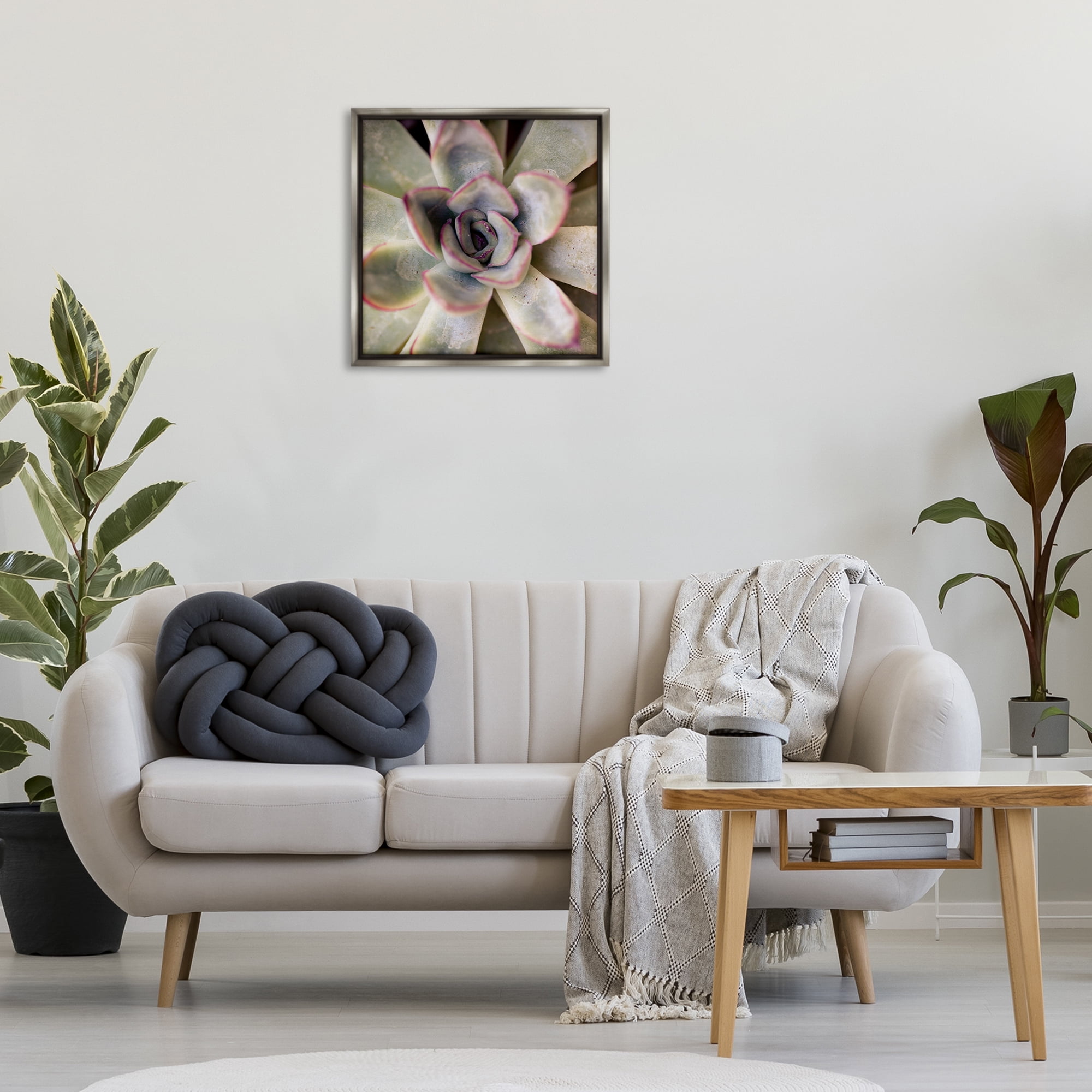 Stupell Industries Succulent Petals Pattern Plants & Flowers Photography Gray Floater Framed Canvas Art Print Wall Art, 25 x 25