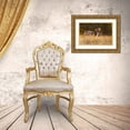 thumbnail image 3 of Leijen, Pim 14x11 Gold Ornate Wood Framed with Double Matting Museum Art Print Titled - Last Light Fox, 3 of 4