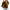 Brown, variant on ameIAEA Sweatshirts for Boys Girls Long Sleeve Pullover Toddler Kids Solid Color Crewneck Tops