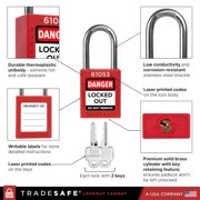 TRADESAFE Lockout Tagout Kit, LOTO Kit 25 Pcs, 2 Keys per Lock for Lock Out Tag Out
