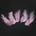 thumbnail image 4 of Perfect for Weddings, Parties & Home Accent 300 Pink Feathers for Creative Crafts & Event Décor, 4 of 7