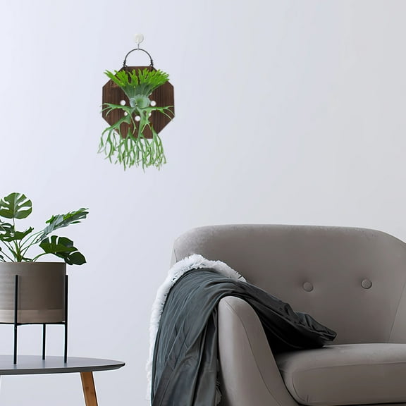 Masteelf Vertical Plant Wall Planter Staghorn Fern Mounting Kit Wall Planter for Platycerium Wooden Wall Planter for Orchids Succulents Indoor Vertical Garden Planter