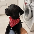 thumbnail image 6 of Washable Comfortable Adjustable For Small,Middle,Large Dog Cute With Collar Walking Dog Supplies Pet Accessories Dogs Bandana Pet Triangle Towel Cats Scarf BLACK M, 6 of 8