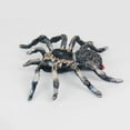 thumbnail image 2 of Realistic Plastic Spider Fake Insect Tricky Prank Joke Toys Halloween Props Gift, 2 of 3
