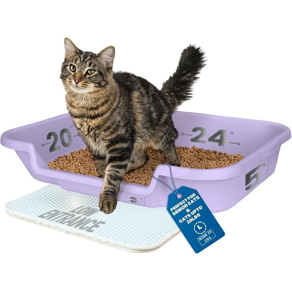 Kitty Go Here Senior Cat Litter Box for Cats Who Can't Cope With A Traditional Litter Box Lavender