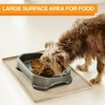 thumbnail image 6 of Neater Pets Little Big Bowl for Small Dogs - Plastic Trough Style Food or Water Bowl for Use Indoors or Outdoors, Gunmetal, 8 Cups (64 Oz.), 6 of 10