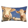 thumbnail image 1 of Balery Cows Cattles Funda de Cojín Estampada, Regalos para Mujeres, Regalos de Amor para Ella, Regalos para Novia o Esposa, Funda de Almohada-14"x20", 1 of 6
