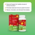 thumbnail image 3 of Redd Remedies, Children's Sinus Support, Immune and Respiratory Health Formula, Cherry Flavor, 60 Chewable Tablets, 3 of 6