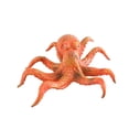 thumbnail image 2 of Figuras de modelos de animales, juguetes de criaturas marinas, animales marinos, juguetes de animales marinos para enseñanza, regalos de fiesta, estilo B, 2 of 8