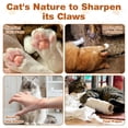 thumbnail image 7 of 2Pcs Upgraded Kitty+Kurlzs Cat Toy, Enhanced Magnet Kitty Curls Cat Scratcher, Multi-Shape KittyKurls Cat Scratcher with Play Balls, Twisty Paws Cat Toy for Indoor Cats, 7 of 7