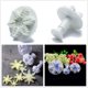 thumbnail image 5 of Juego de 4 moldes para fondant de copos de nieve, decoración de pasteles de Navidad en 3D, adornos para cupcakes de invierno para decoración para hornear pasteles de jabón de caramelo de chocolate (blanco 1) - oso de fresa Electrónica, 5 of 5