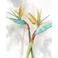 thumbnail image 2 of Robinson, Carol 26x32 Black Ornate Wood Framed with Double Matting Museum Art Print Titled - Bird of Paradise I, 2 of 4