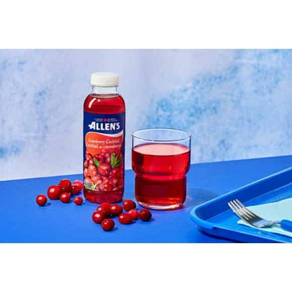 Allens Juice Cranberry Cocktail 300ml/10.14oz (24/Case) - Canadian Made