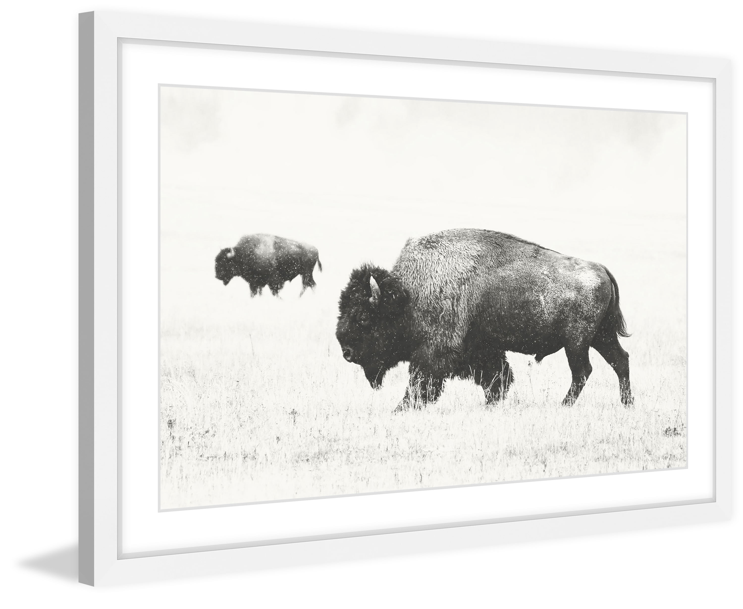 Marmont Hill Buffalo Pair Framed Wall Art, 20" x 30"