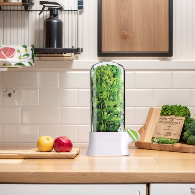 Cilantro caja crujiente con estuche de agua con carcasa de almacenamiento de hierbas de hierbas recipiente de refrescos para té cereales cilantro menta