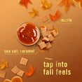 thumbnail image 4 of Febreze Plug Refill Odor-Fighting Air Freshener Sea Salt Caramel & Maple Scent, 3 Ct 0.87 fl oz Each, 4 of 15