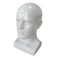 thumbnail image 6 of Men Mannequin Head PVC Display Stand Durable Styling for Game Console, Hats, Jewellery 13.4inch Tall Gloss White, 6 of 8