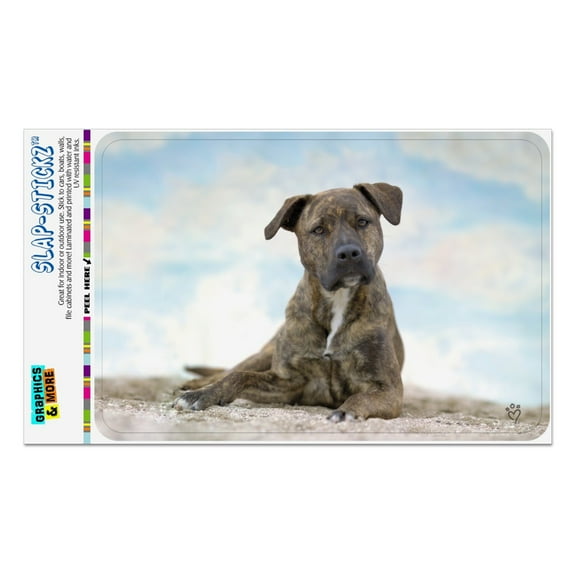 Staffy Staffordshire Bull Terrier Dog Sandy Beach Home Business Office Sign