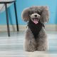 thumbnail image 5 of Chaleco acolchado Chaqueta para perro - Chaleco cálido con cremallera para perro chaqueta polarDZ253 camuflaje verdeM, 5 of 5